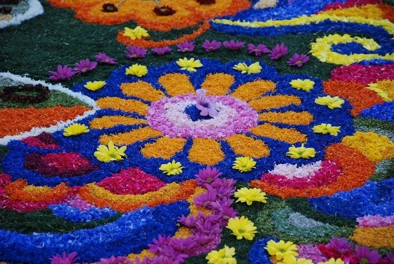 Particolare di un tappeto di petali colorati dell'Infiorata di Spello